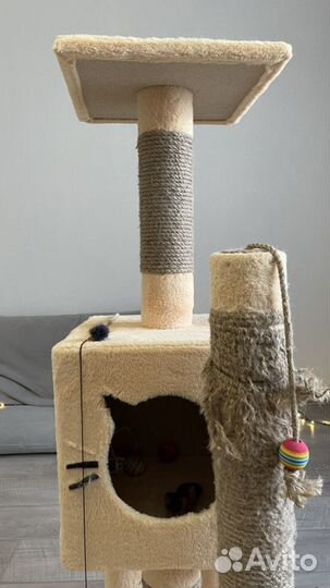 Кошачий дом