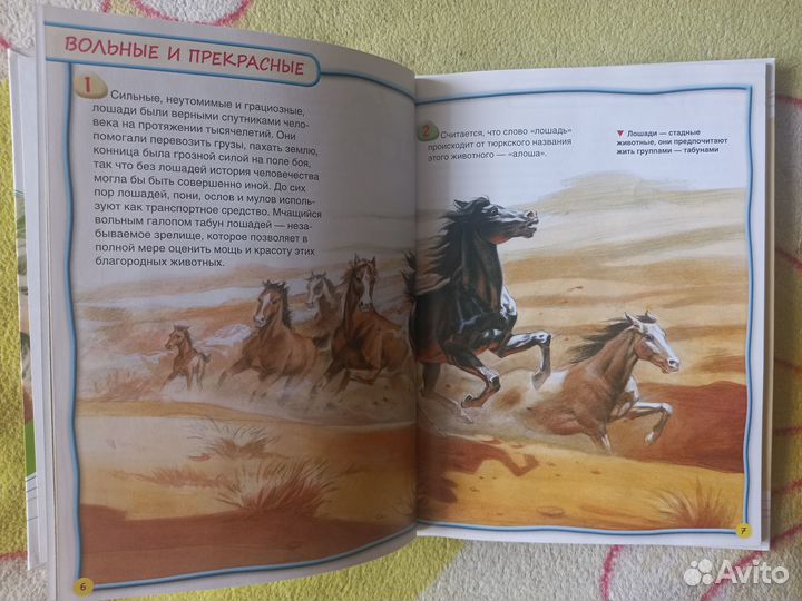 Энциклопедия для детей. 