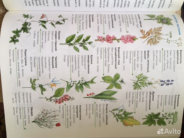 Энциклопедия(новая) для мальчиков