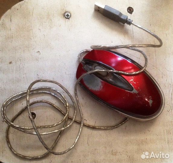 Мышь компьютерная