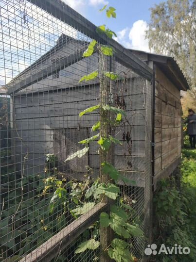 Проект курятника