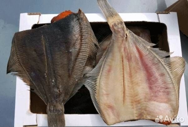 Камбала вяленая икряная