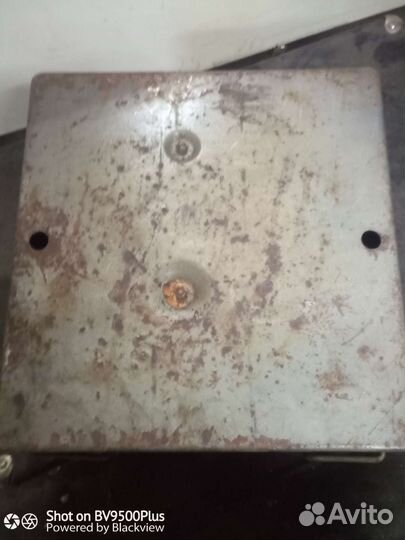 Примус шааз