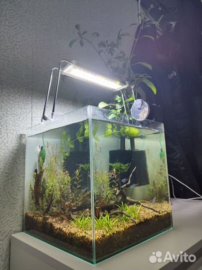 Аквариум