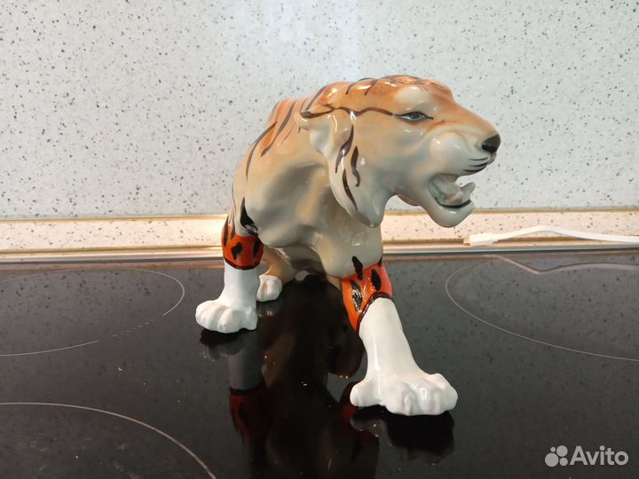 Тигр цирковой. Лфз