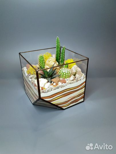 Флорариум с суккулентами. Подарок, цветы, растения