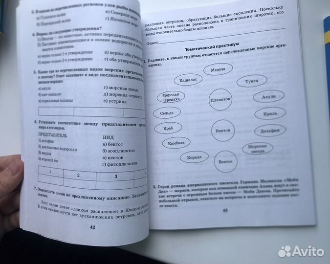 Рабочие тетради география 7 класс. Домогацких
