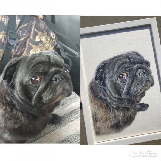 Картина пастелью на заказ