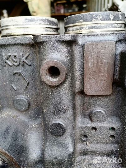 Блок двигателя Рено K9K