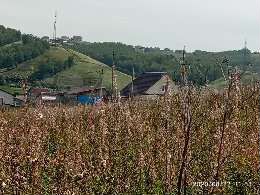 Участок 10 сот. (СНТ, ДНП)