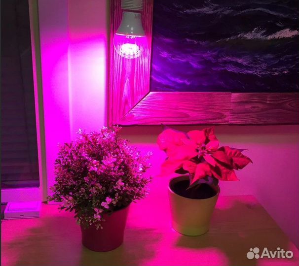 Лампа для растений 9W E27 спектр для фотосинтеза