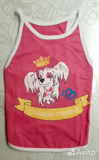 For my Dogs майка для собак кхс