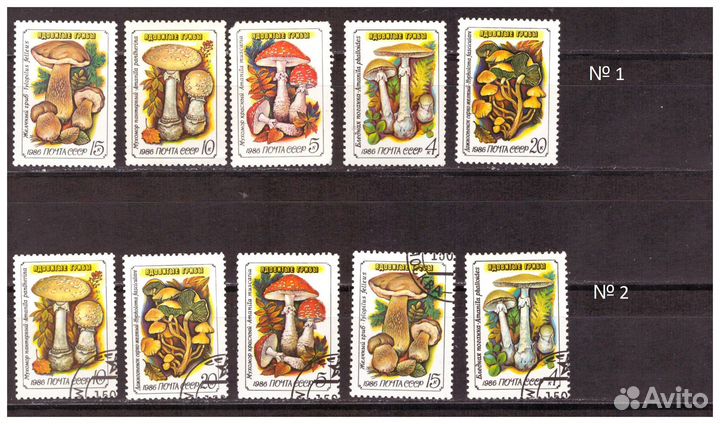 Грибы на почтовых марках