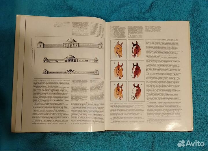 Книги о лошадях