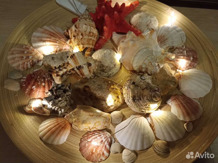Ракушки набор
