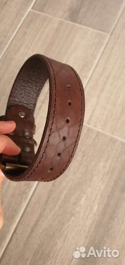 Ошейник для собак