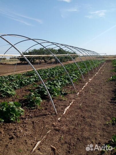 Каркас теплицы