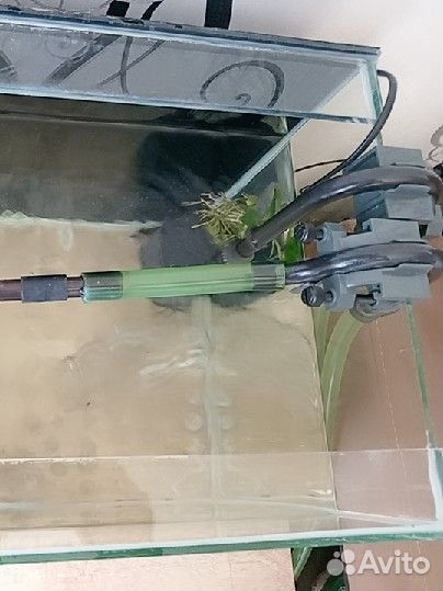 Рыбки и всё для аквариума