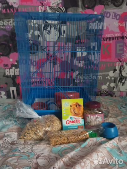 Клетка для грызунов + еда