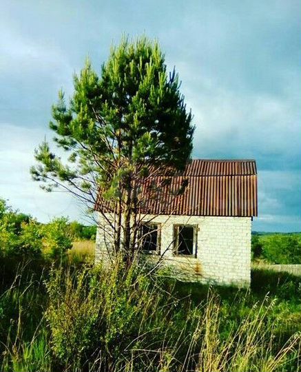 Участок 10 сот. (СНТ, ДНП)