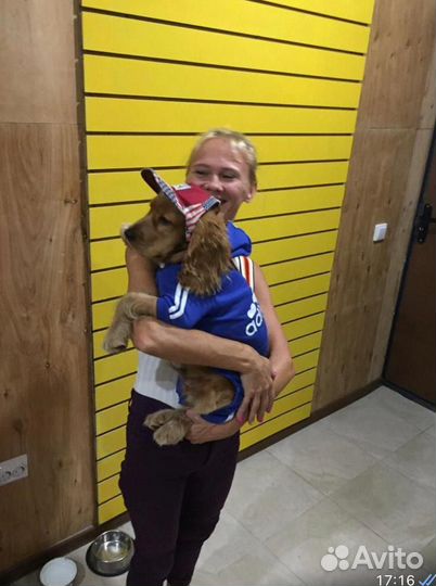 Передержка собак в домашних условиях