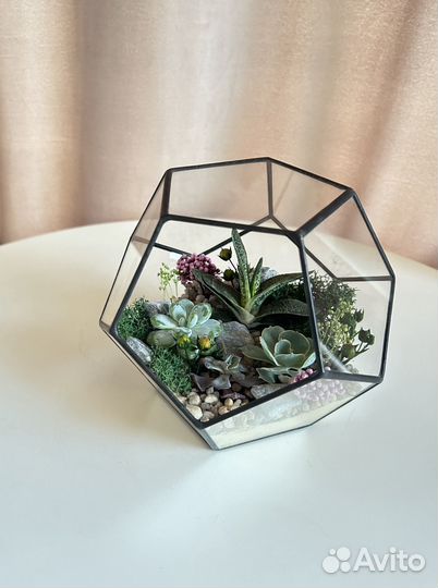 Флорариум. Подарок на 8 марта