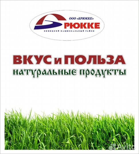 Продавец продуктов (Южно-Чемской)