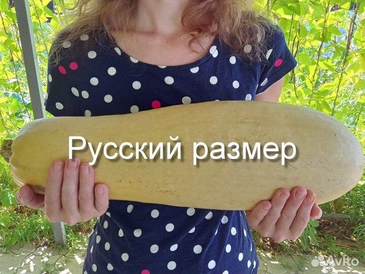 Зимние кабачки