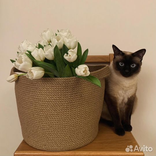 Корзина из джута