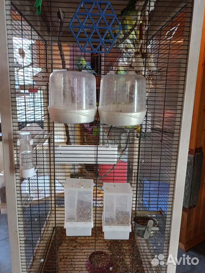 Вольер-клетка