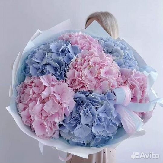 Розы Цветы Букеты Диантусы 31 51 75 Ставрополь