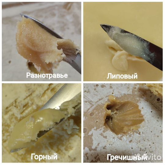 Сибирский мёд