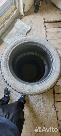 Nokian Tyres Hakkapeliitta 5 205/55 R16