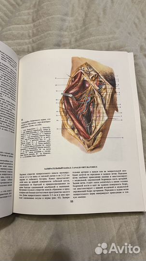 Оперативная хирургия и топографическая анатомия