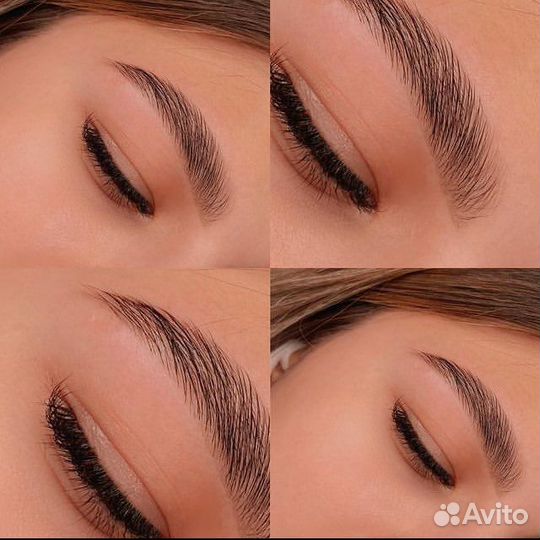 Курс Мастер-Бровист