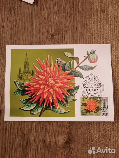 Картмаксимумы 