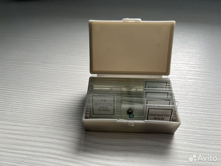 Микроскоп levenhuk rainbow 2l