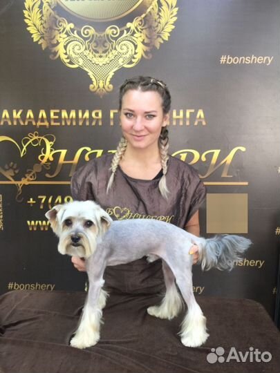 Груминг животных