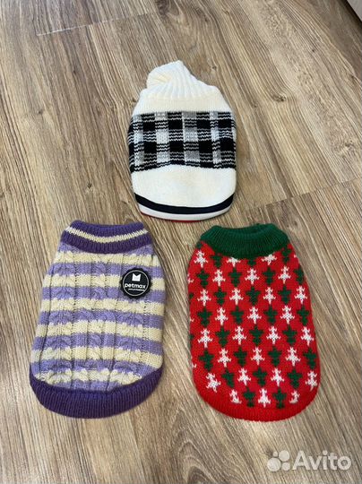 Одежда для маленьких собак