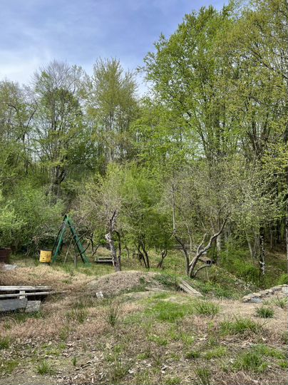 Участок 7,5 сот. (СНТ, ДНП)