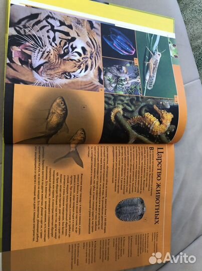 Энциклопедия школьника «Животные», атлас по биолог