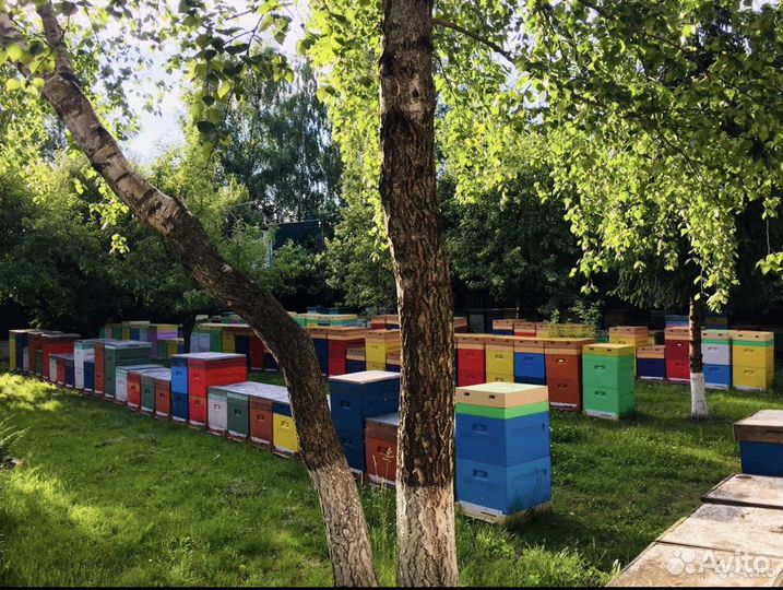 Ульи для пчел бу