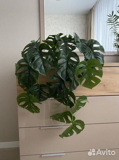 Монстера искусственная свисающая