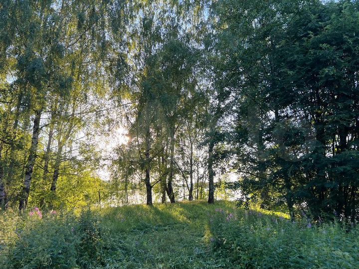 Участок 25 сот. (ИЖС)