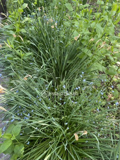 Дача 10 м² на участке 7,2 сот.