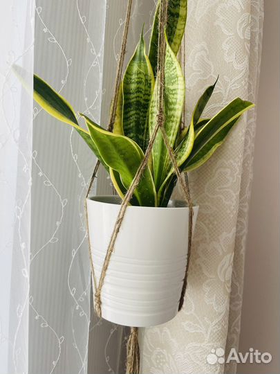 Подвес для кашпо джутовый