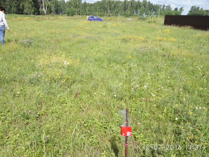 Участок 11 сот. (ИЖС)