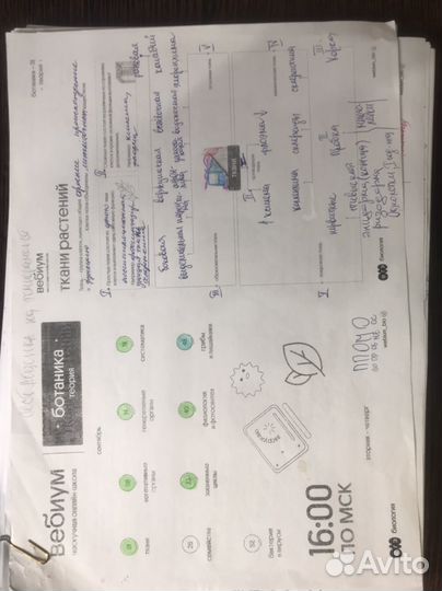 Биология ЕГЭ конспекты