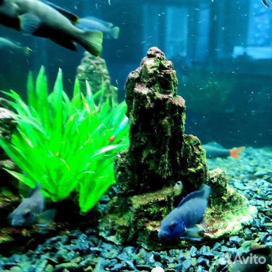 Грот для аквариума