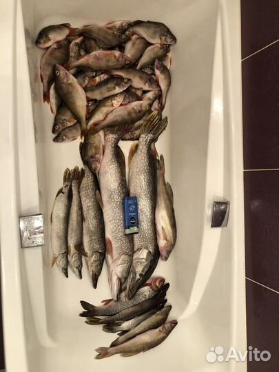 Рыболовная суперснасть Балда «Люми V3.0»